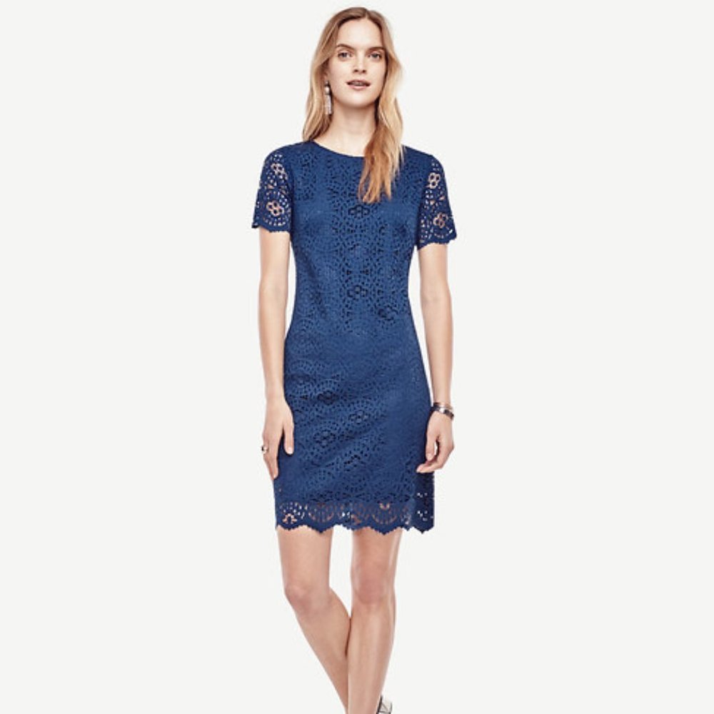 Ann Taylor Lace dress Navy 4P